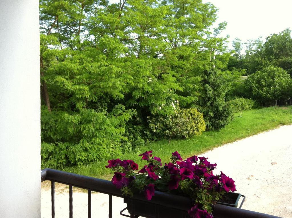 Agriturismo Licensi Del Bresa Villa Monzambano Cameră foto